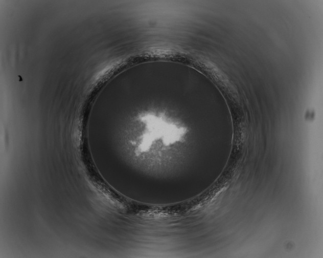 X0000100760640200806191208