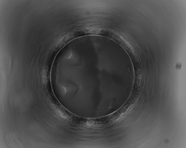 X0000100760641200806191208