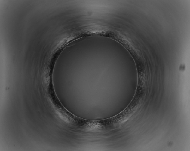 X0000100760642200806191208