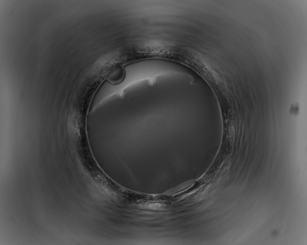 X0000100760643200806191208