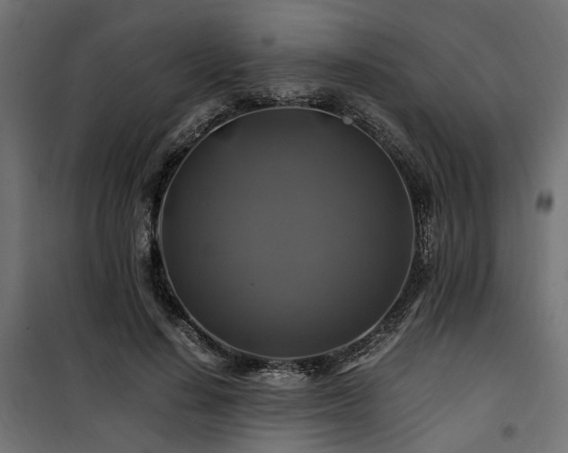 X0000100760644200806191208