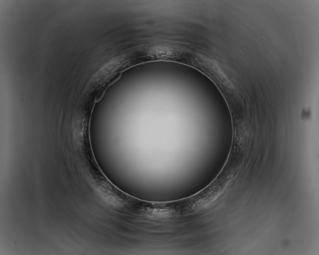 X0000100760645200806191208