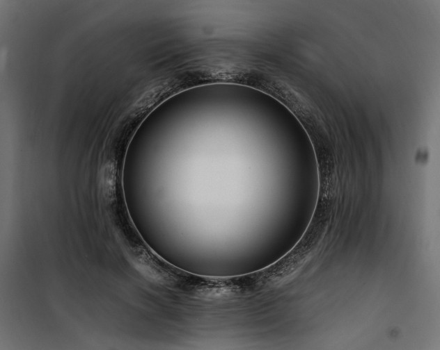 X0000100760646200806191208