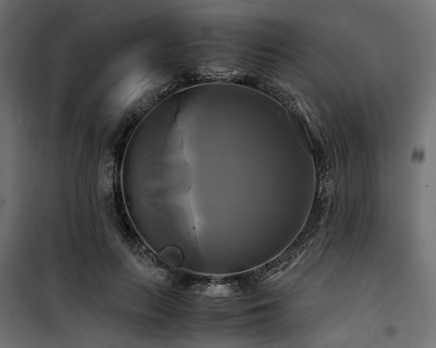 X0000100760647200806191208