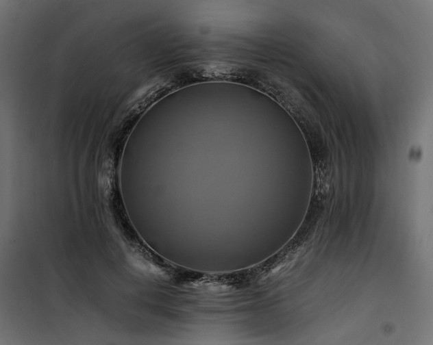 X0000100760648200806191208