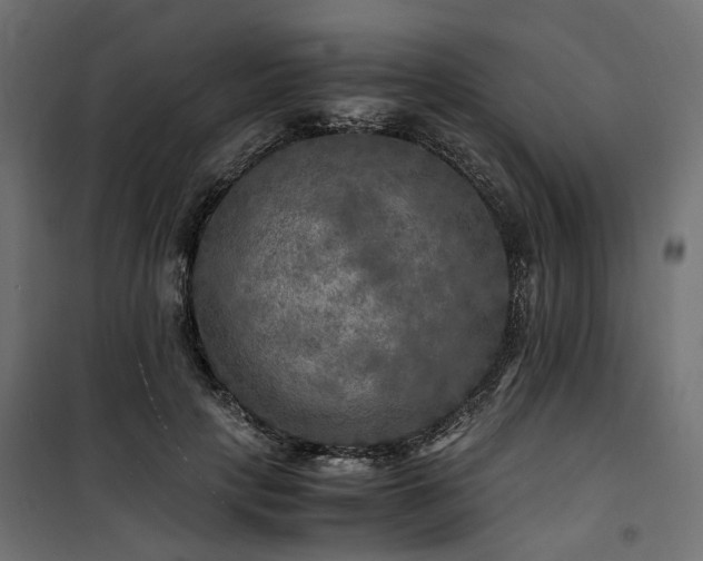 X0000100760649200806191208