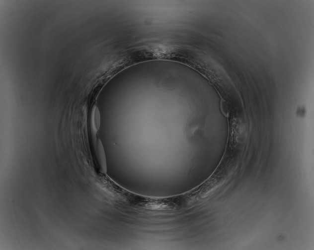 X0000100760650200806191208