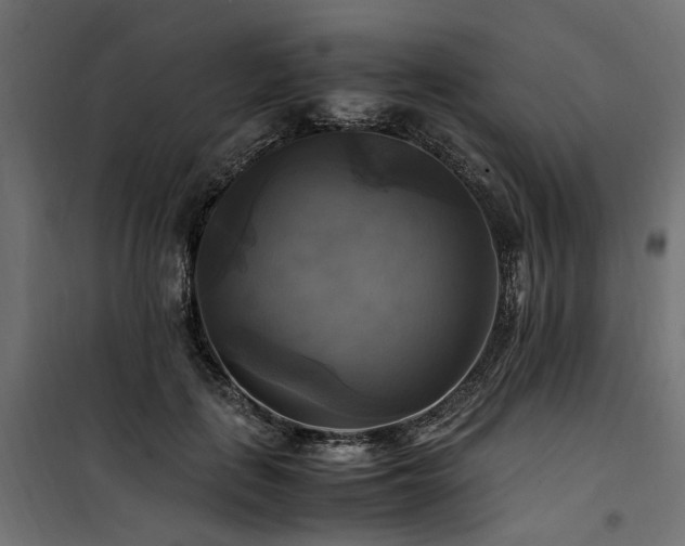 X0000100760651200806191208