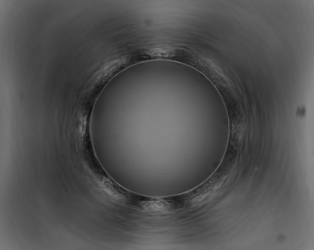 X0000100760652200806191208