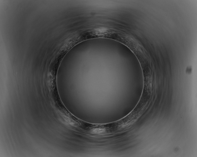 X0000100760653200806191208