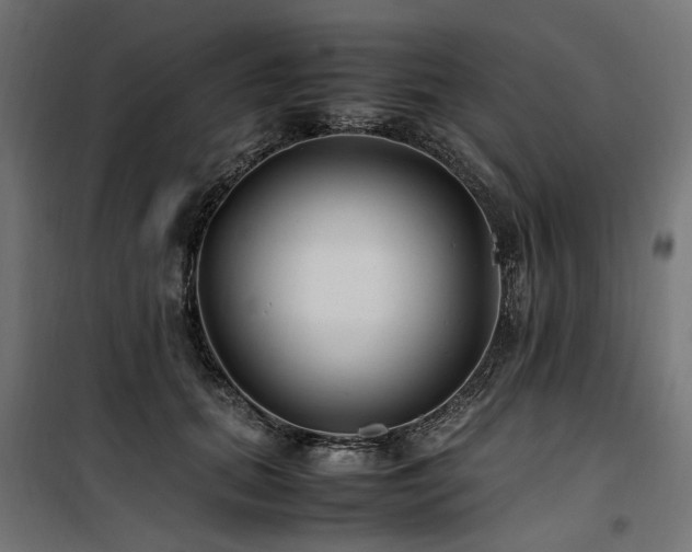 X0000100760655200806191208