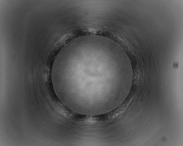 X0000100760656200806191208