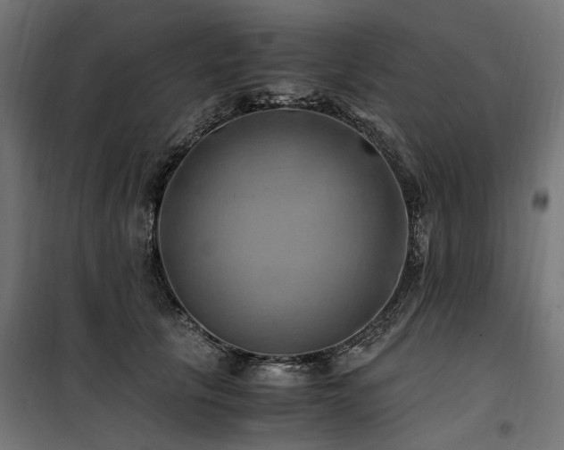 X0000100760657200806191208