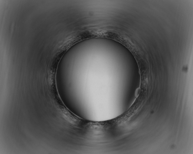 X0000100760658200806191208