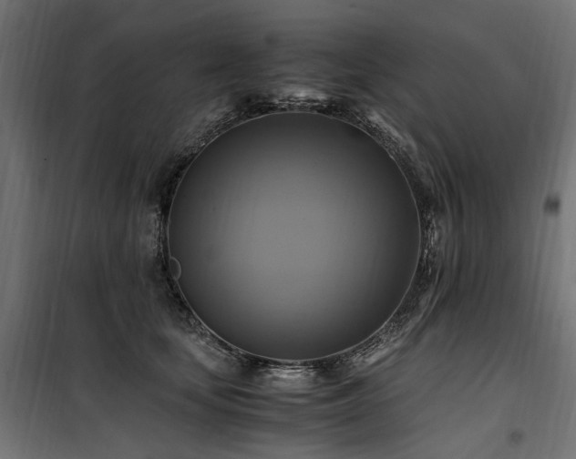 X0000100760659200806191208