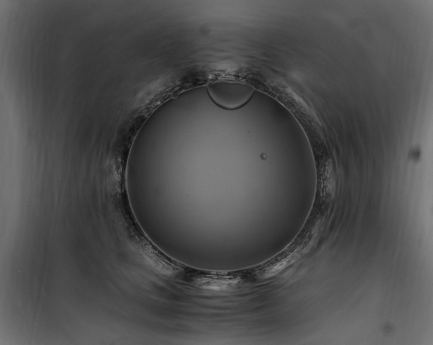 X0000100760661200806191208