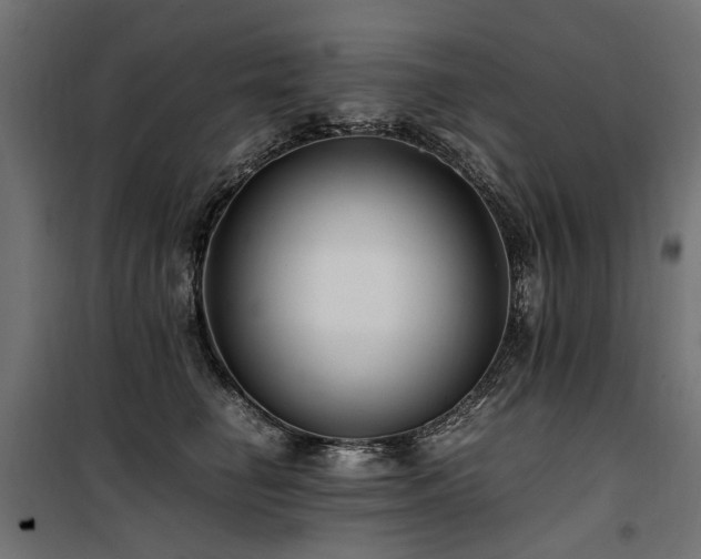 X0000100760662200806191208