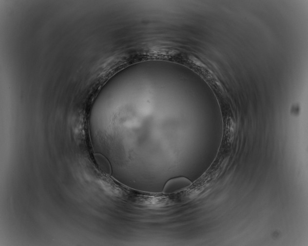 X0000100760663200806191208