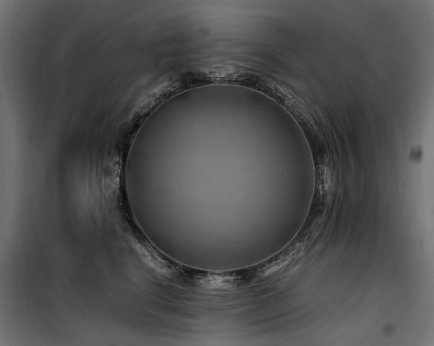 X0000100760664200806191208