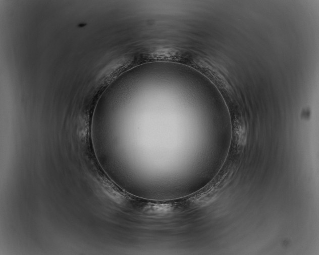 X0000100760665200806191208