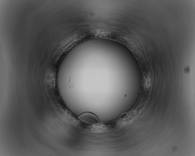 X0000100760666200806191208