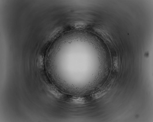 X0000100760667200806191209