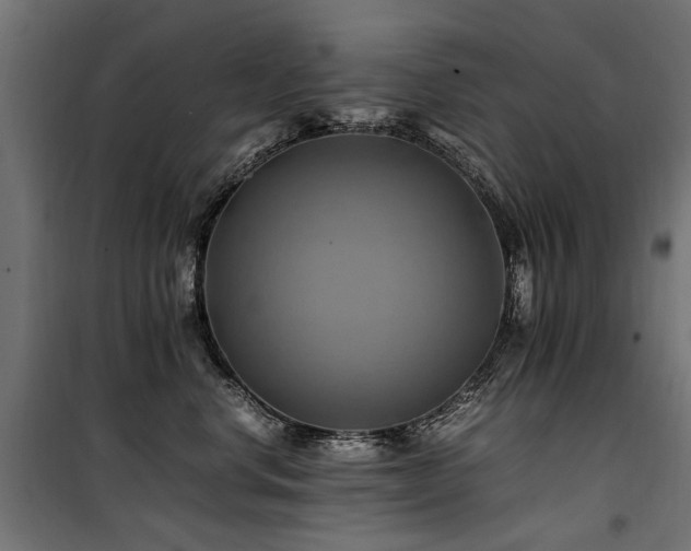 X0000100760668200806191209