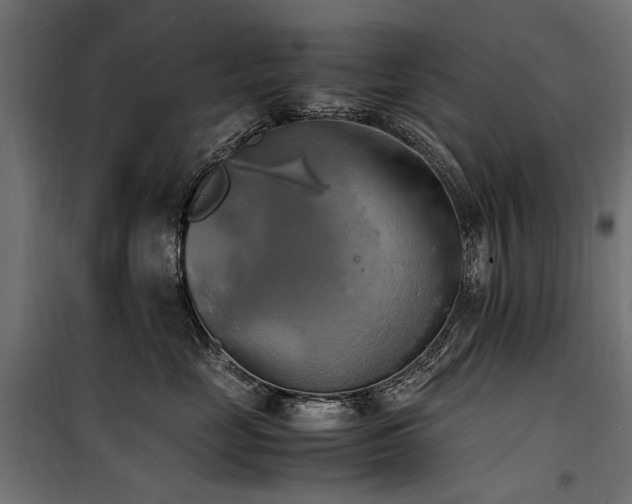 X0000100760669200806191209