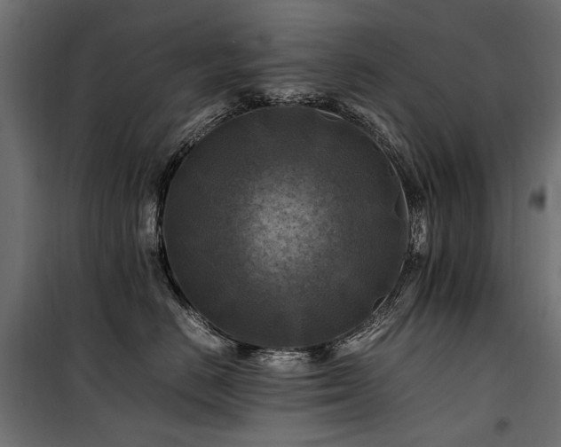 X0000100760670200806191209