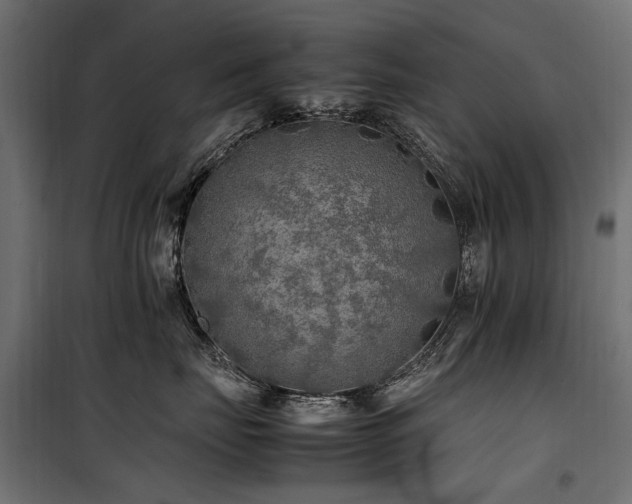 X0000100760671200806191209