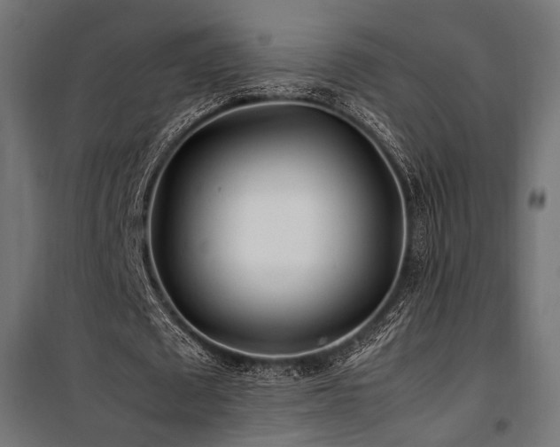 X0000100760673200806191208