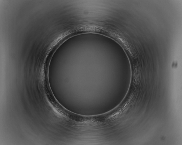 X0000100760674200806191208