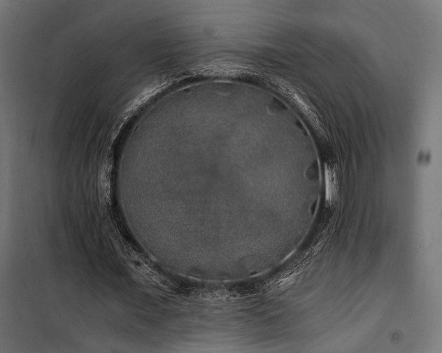 X0000100760675200806191208