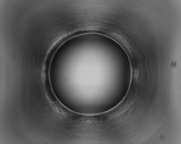 X0000100760676200806191208