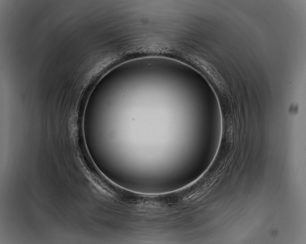 X0000100760677200806191208