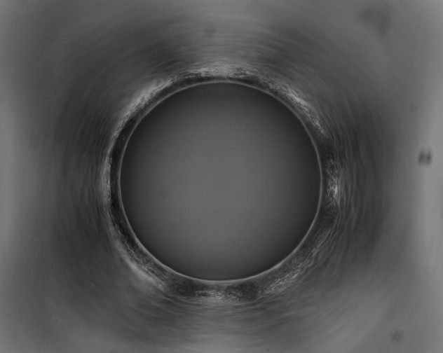 X0000100760678200806191208