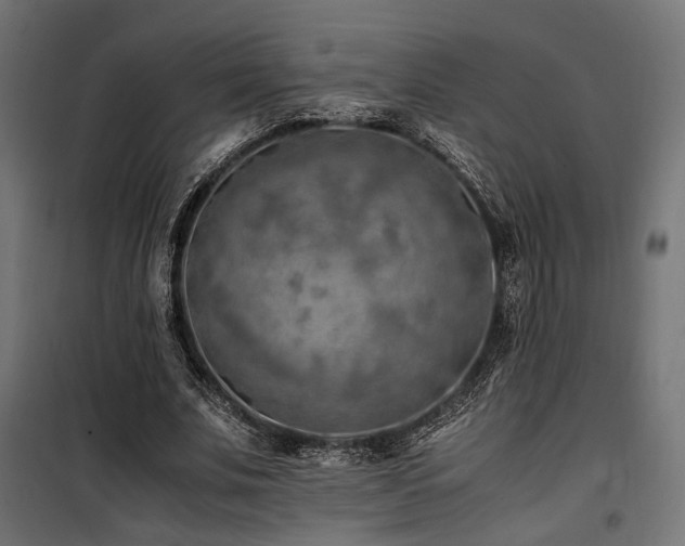 X0000100760679200806191208