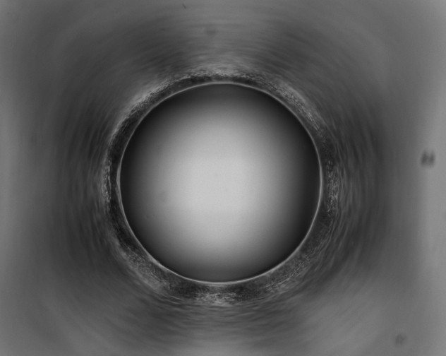 X0000100760680200806191208