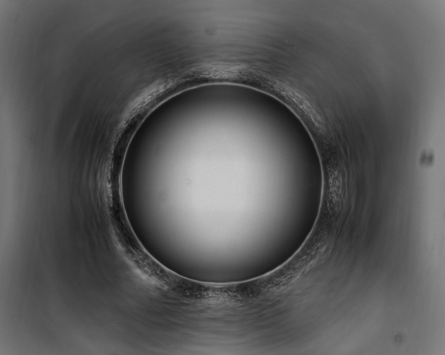 X0000100760682200806191208