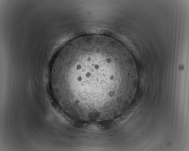 X0000100760683200806191208