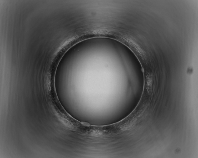 X0000100760684200806191208