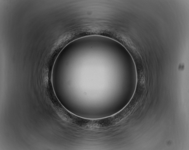 X0000100760685200806191208