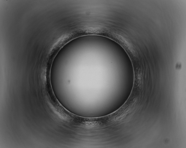 X0000100760686200806191208