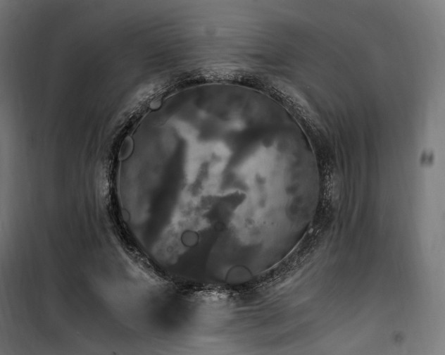 X0000100760687200806191208