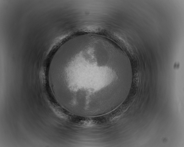 X0000100760688200806191208