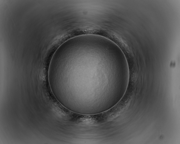 X0000100760689200806191208