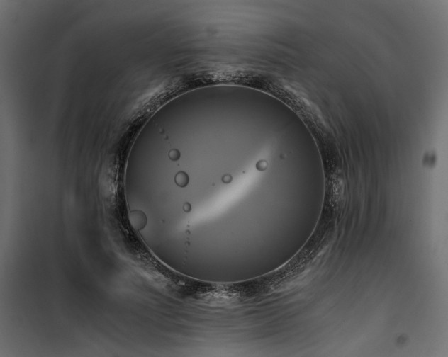 X0000100760691200806191208