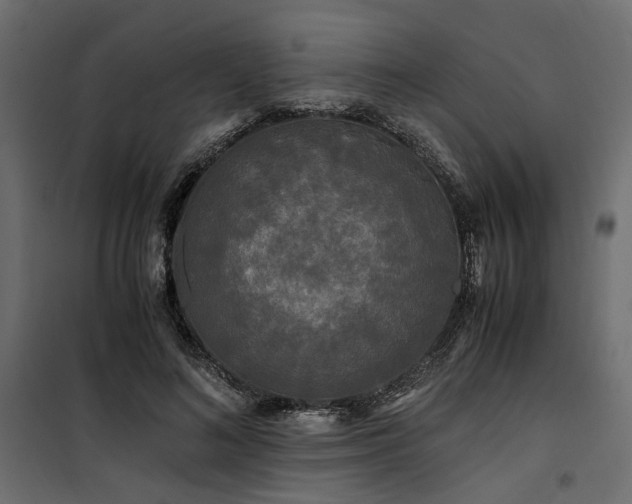 X0000100760692200806191207