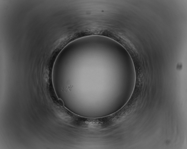 X0000100760693200806191207