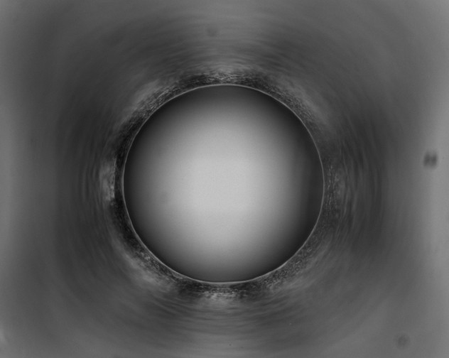 X0000100760694200806191207